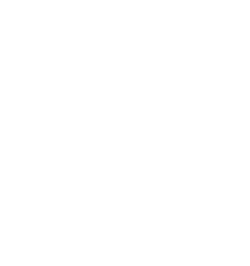 Trusted Choice Logo